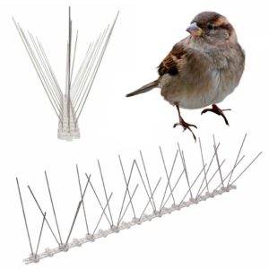 Anti-Sparrow Spikes | Sparrow Deterrent Spike Strips | Sparrow Repellent Spikes (per 50cm strip)