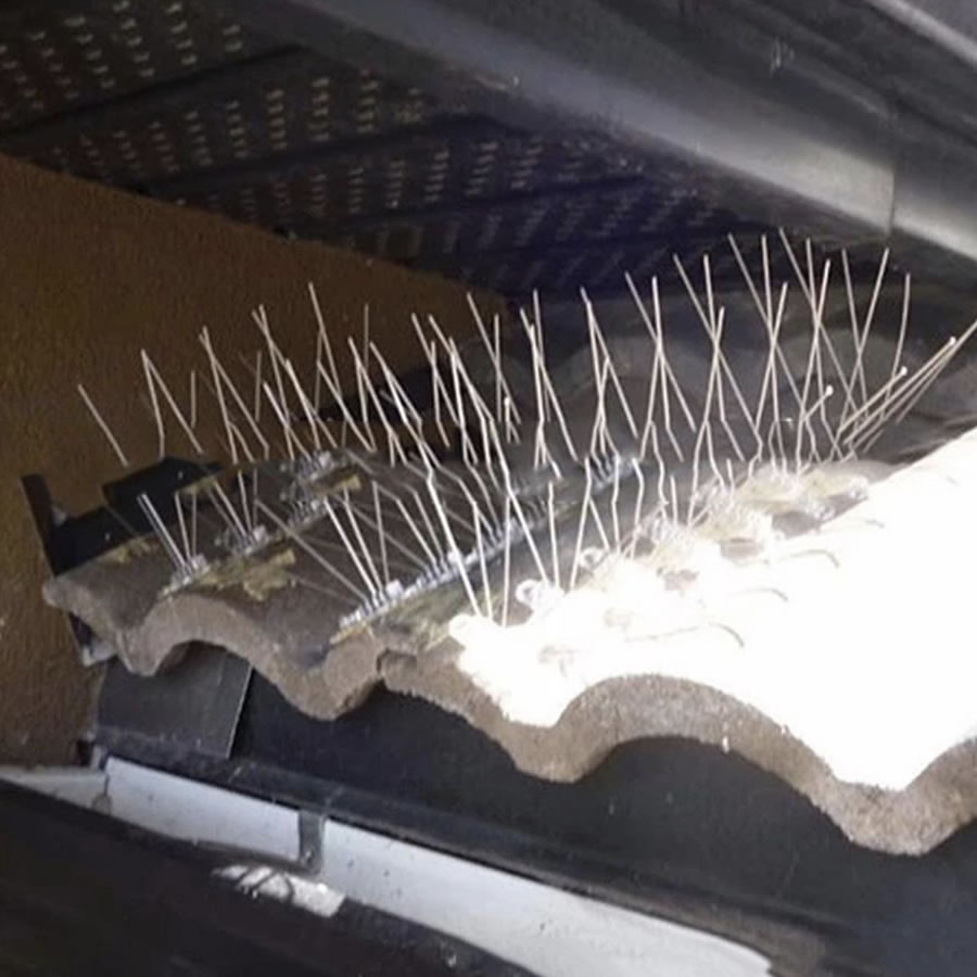 Anti-Seagull Spikes, image 3