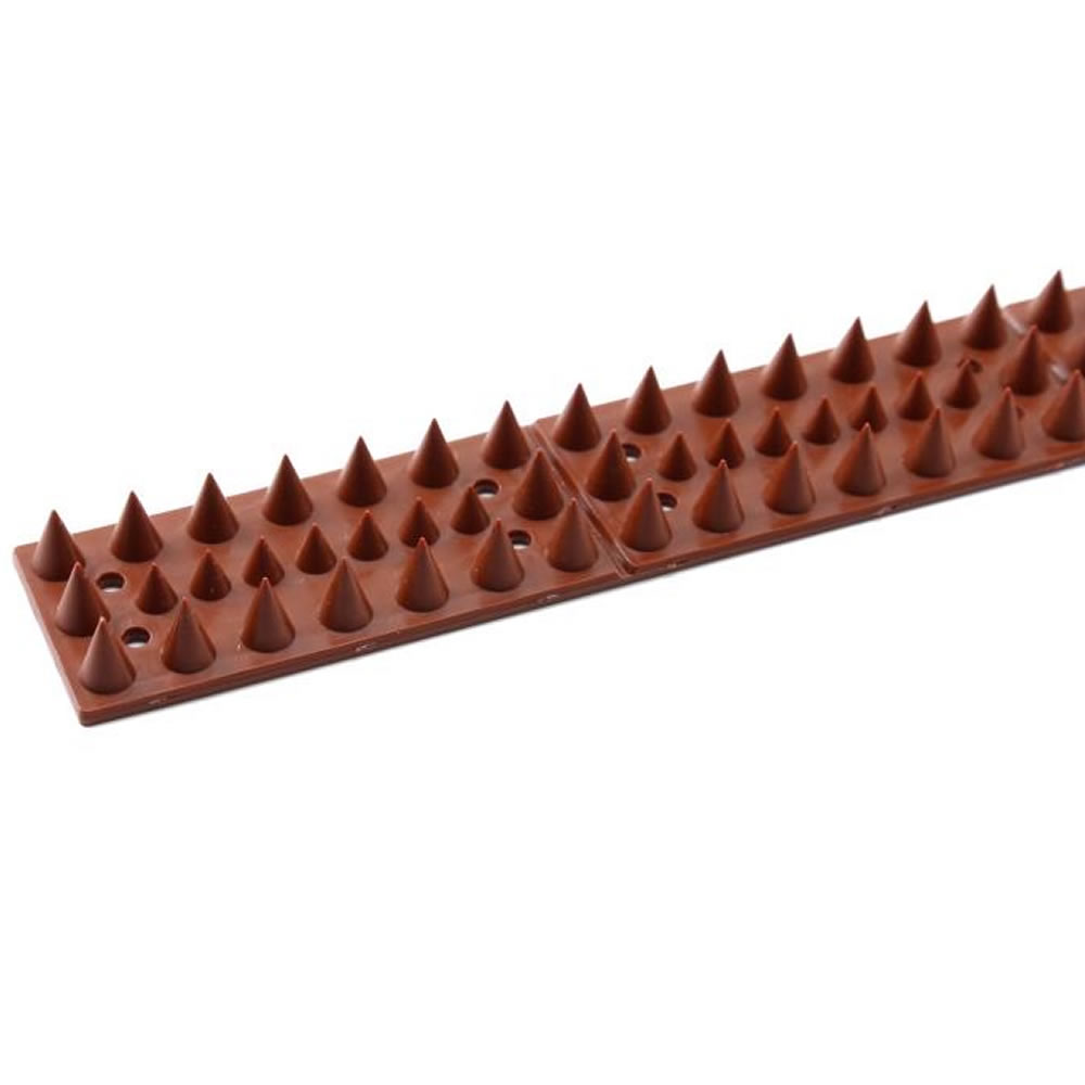 Cat Spikes, image 7