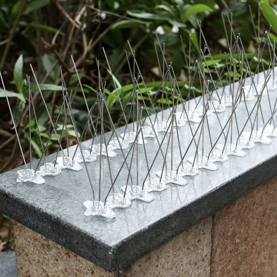 Anti-Indian Myna Spikes, image 2