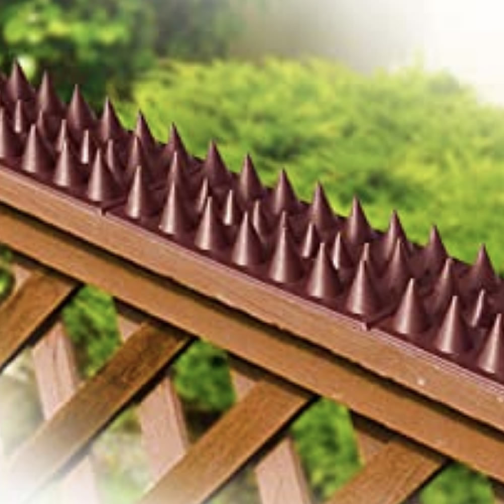 Cat Spikes, image 5