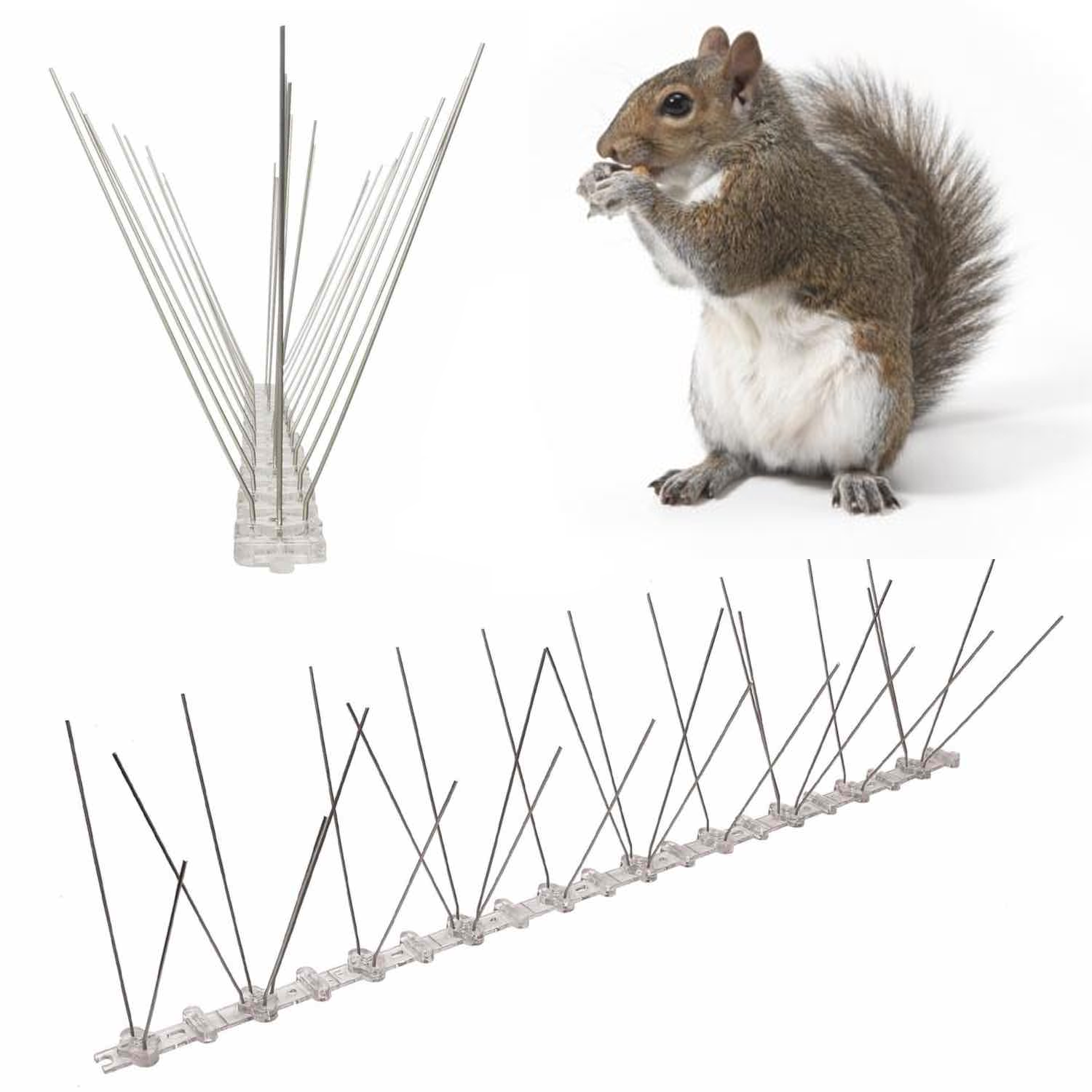 Squirrel Spikes
