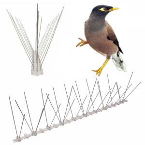 bird spikes for indian myna 1